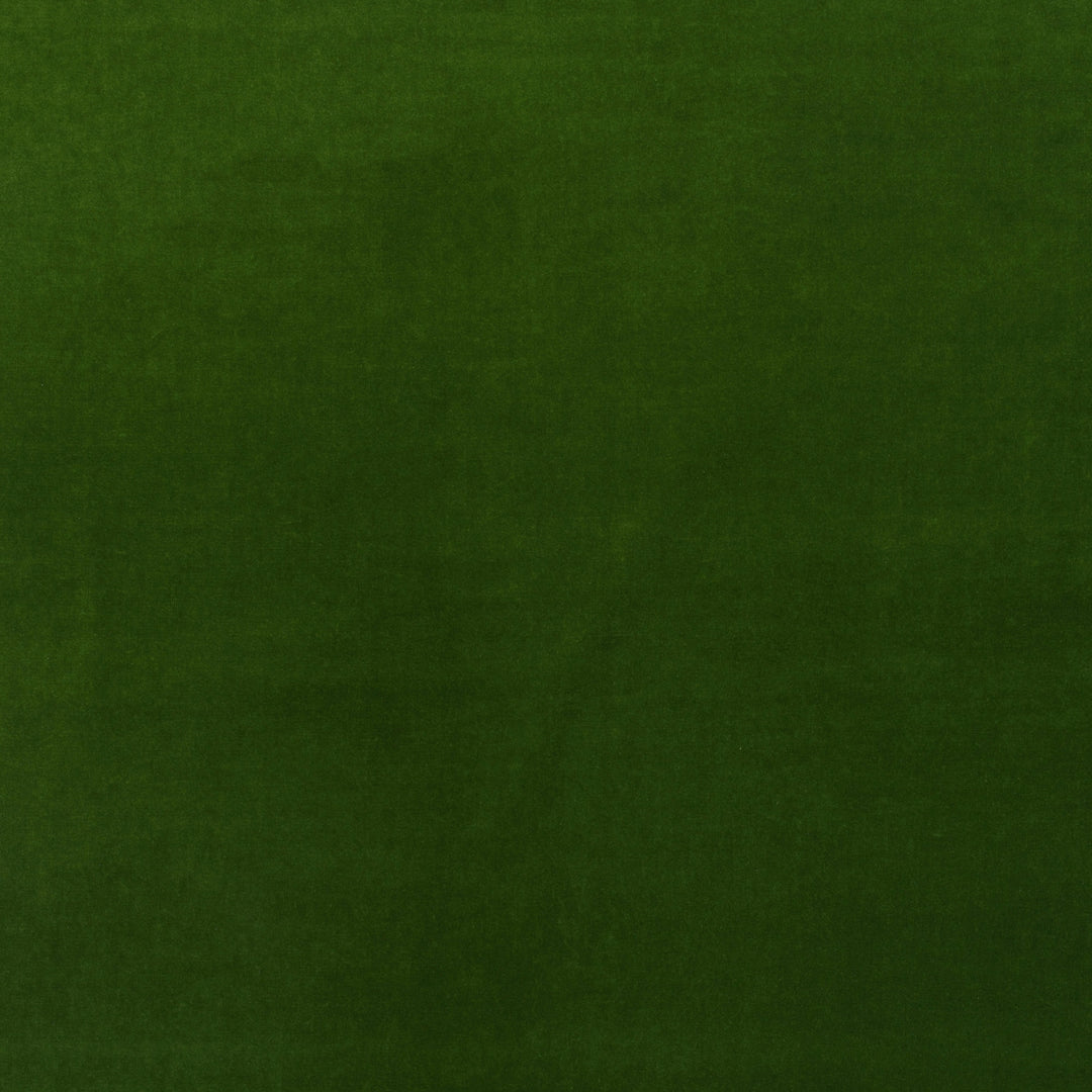 Kravet Couture Fabric Medici - Ivy