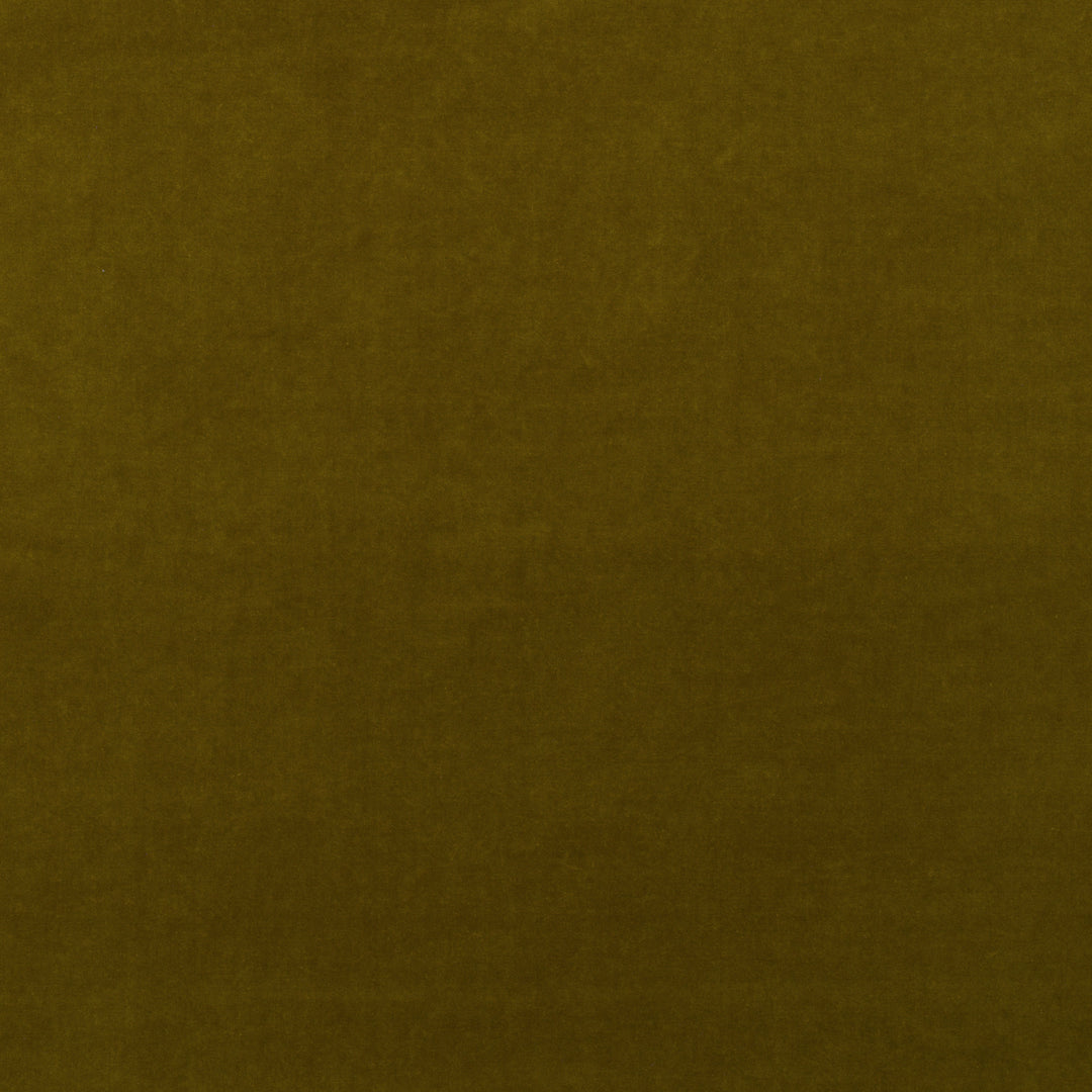 Kravet Couture Fabric Medici - Olive