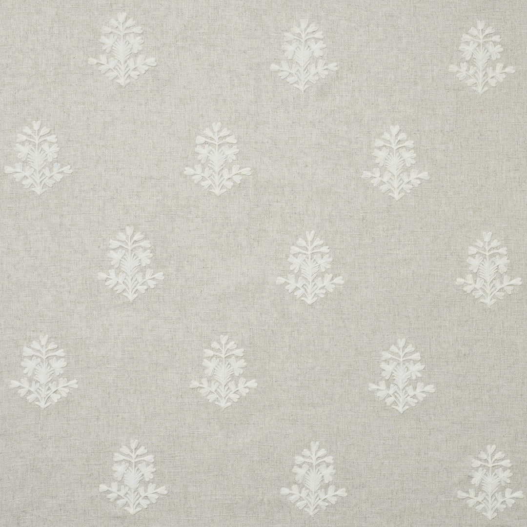 Kravet Couture Fabric Alba - Ivory