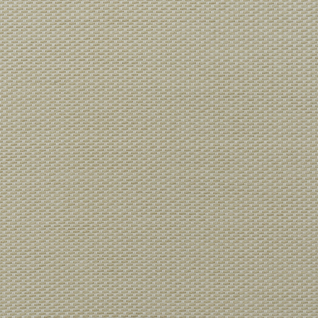 Kravet Couture Fabric Taormina - Stone