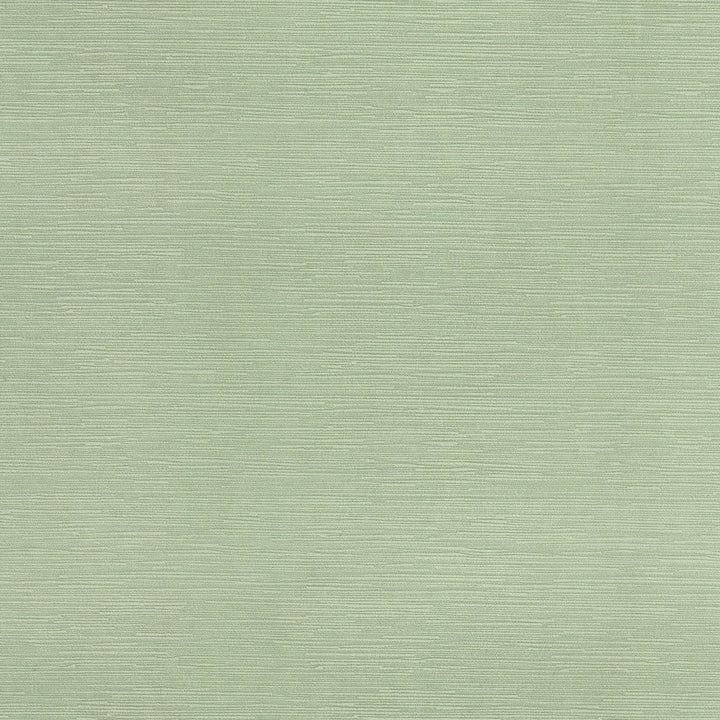 Amorous 2 Aloe by Marcus William Fabric Marcus William Fabric Amorous 2 AloeFabric MARCUS WILLIAM WORLD VIEW 100%POL CHINA </p><p>Repeat: H: 0.000, V: 0.000 55 in - Fabric Carolina -
