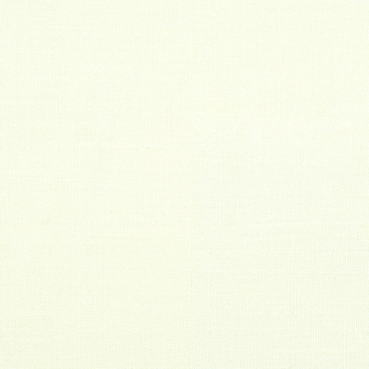 Ample 6 Cream by Stout Fabric Stout Fabric Ample 6 CreamFabric COLOR MY WINDOW NEUTRAL/MICA 75%POL 25%LIN INDIA </p><p>Repeat: H: 0.000, V: 0.000 55 in - Fabric Carolina -