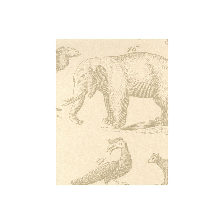 Ark Sand by Kravet Couture Designer Wallcovering ANDREW MARTIN MUSEUM PAPER - 100% United Kingdom Horizontal: and Vertical: 26.5 20.5 - Swanky Fabrics -