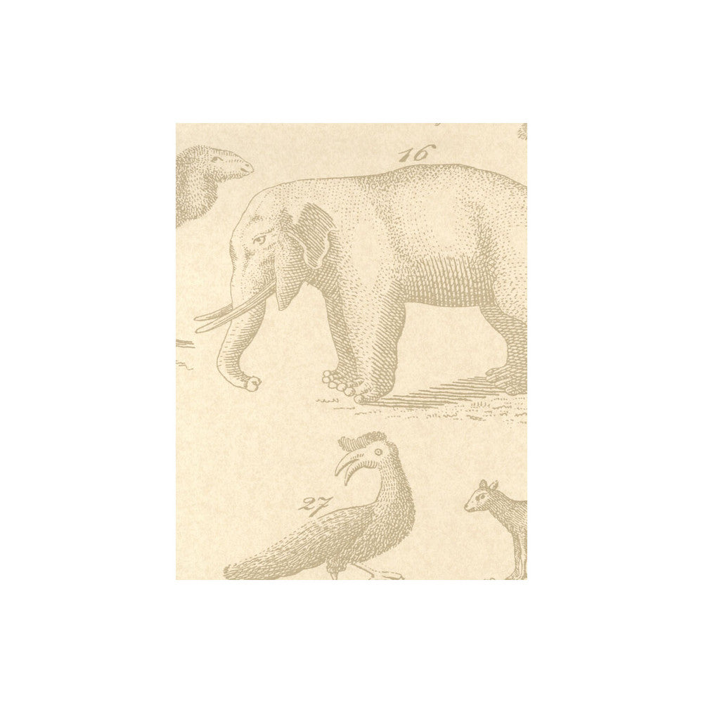 Ark Sand by Kravet Couture Wallcovering Kravet Couture Wallcovering Ark SandWallcovering ANDREW MARTIN MUSEUM PAPER - 100% United Kingdom </p><p>Repeat: H: , V: 26.5 20.5 - Fabric Carolina -