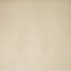 Kravet Wallpaper Moss Plaster AMW10079.112.0