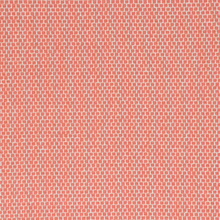 Anafi Coral by Bella-Dura Designer Fabric  100% BELLA DURA POLYOLEFIN USA 70000 H: N/A V: N/A 53.5''  - Swanky Fabrics -
