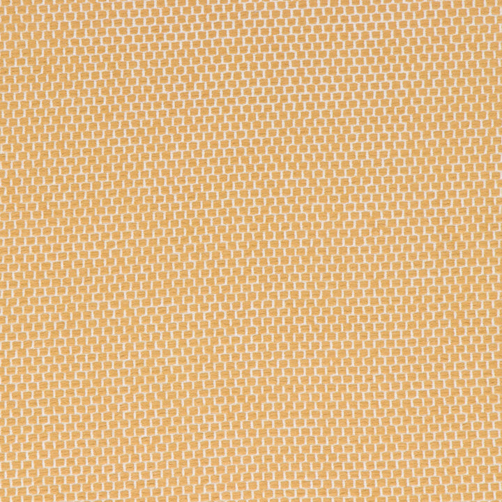 Anafi Goldenrod by Bella-Dura Designer Fabric  100% BELLA DURA POLYOLEFIN USA 70000 H: N/A V: N/A 53.5''  - Swanky Fabrics -