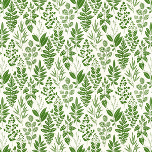 Stout Fabric Annual 2 Spring