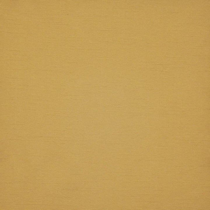 Apollonia # 538 Tuscany by Maxwell Designer Fabric Pure & Simple Xii 100% POLYESTER INDIA 54" - Swanky Fabrics -