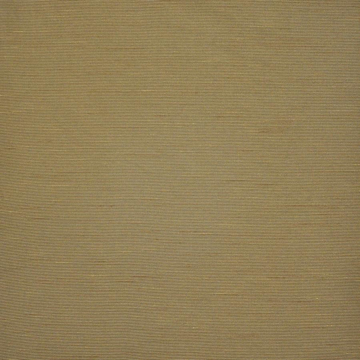 Apollonia # 574 Topaz by Maxwell Designer Fabric Pure & Simple Xii 100% POLYESTER INDIA 54" - Swanky Fabrics -