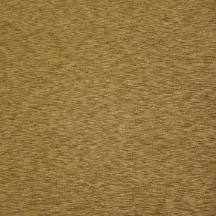 Asolo # 532 Dune by Maxwell Designer Fabric Pure & Simple Xii 100% POLYESTER INDIA 54" - Swanky Fabrics -