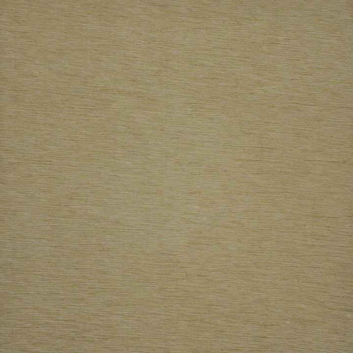 Asolo # 572 Sesame by Maxwell Designer Fabric Pure & Simple Xii 100% POLYESTER INDIA 54" - Swanky Fabrics -