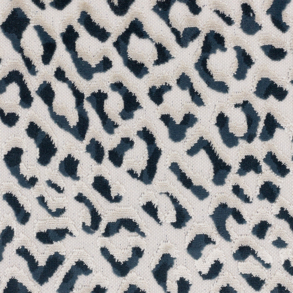 Argus 2 Blueberry by Stout Fabric Stout Fabric Argus 2 BlueberryFabric PILED HIGH VELVETS BELGIUM </p><p>Repeat: H: 14.000, V: 31.000 55 in - Fabric Carolina -