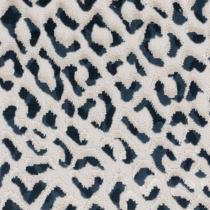 Argus 2 Blueberry by Stout Fabric Stout Fabric Argus 2 BlueberryFabric PILED HIGH VELVETS BELGIUM </p><p>Repeat: H: 14.000, V: 31.000 55 in - Fabric Carolina -