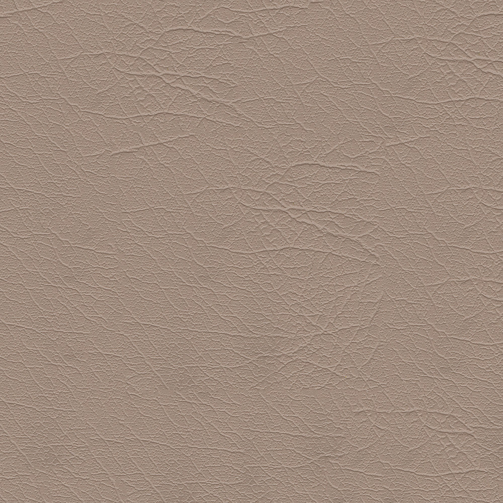 Aries 1604 Sand Dollar 54" by Softside Designer Fabric 100% Polyvinyl Chloride (PVC) Columbia 50,000 Double Rubs (Wyzenbeek) </p><p>Repeat: Horizontal: and Vertical: 54" (137 cm) - Swanky Fabrics -