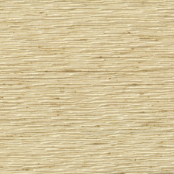 Arrangement 1 Brass by Stout Designer Fabric Color My Window Natural/Toast 100% Polyester INDIA FLAME RETARDANT-N.F.P.A. 701 SMALL SCALE Horizontal: 0 and Vertical: 0 54 in - Swanky Fabrics -