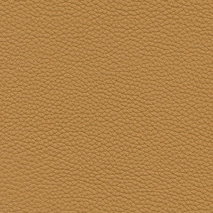 Maxwell Fabric Andalusia-Nj # 617 Biscuit