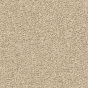 Maxwell Fabric Andalusia-Nj # 622 Cookie Dough