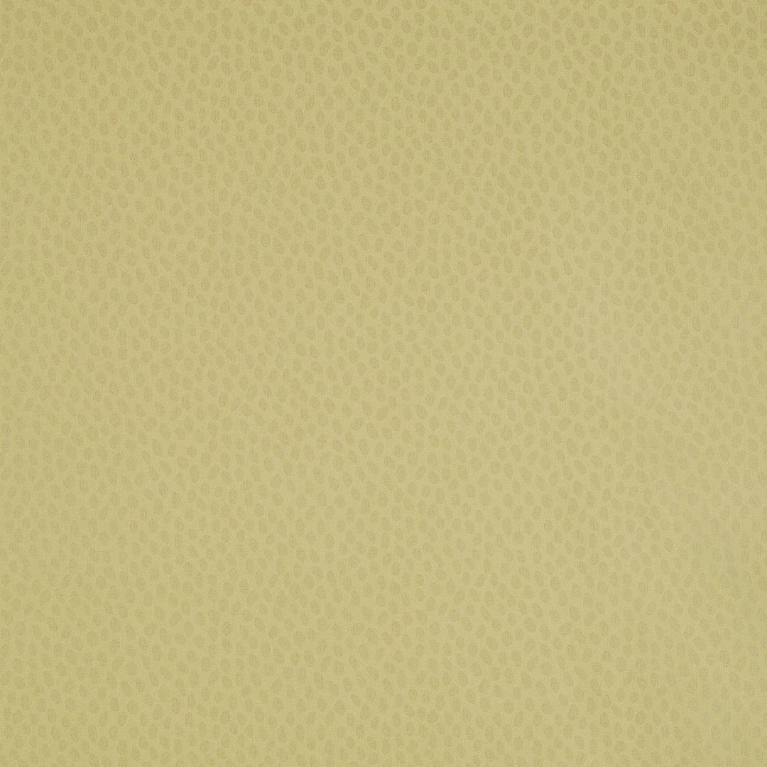 Anna French Wallpaper SPOT ON - Citron Pearl