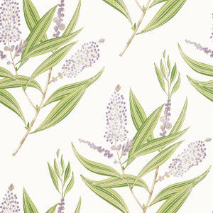 Anna French Wallpaper Winter Bud Lavender AT23134