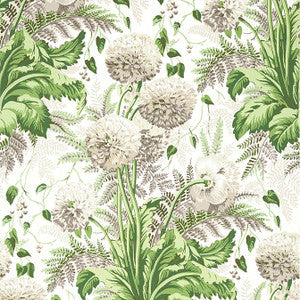 Anna French Wallpaper Dahlia Spring on White AT24538