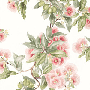 Anna French Wallpaper Camellia Garden Coral AT24550