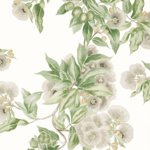 Anna French Wallpaper Camellia Garden Spring on White AT24551