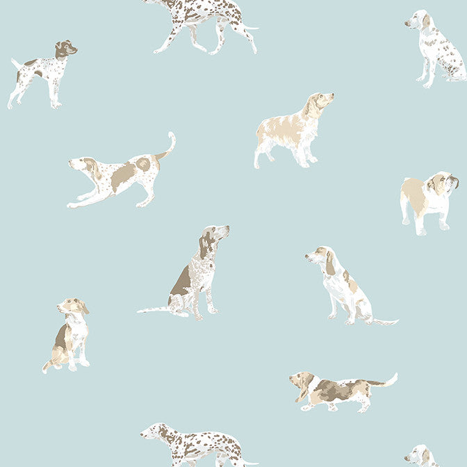 Buddy Robin's Egg AT24603 by Anna French Wallpaper Anna French Wallpaper Buddy Robin's Egg AT24603Wallpaper Devon Wallpaper UNITED STATES </p><p>Repeat: V: 25.25 27 - Fabric Carolina -