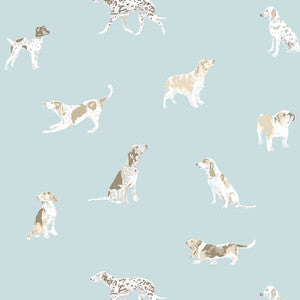 Anna French Wallpaper Buddy Robin's Egg AT24603