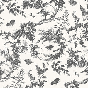 Anna French Wallpaper Newlands Toile Black AT57838