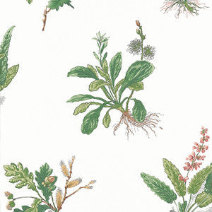 Anna French Wallpaper Woodland Green and Blush AT57852