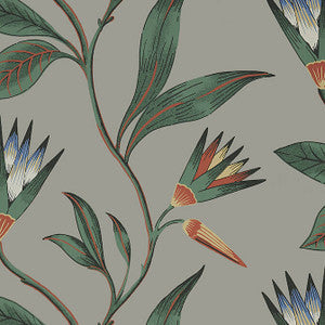 Anna French Wallpaper Cleo Vine Charcoal AT9616