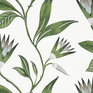 Anna French Wallpaper Cleo Vine Green and White AT9622