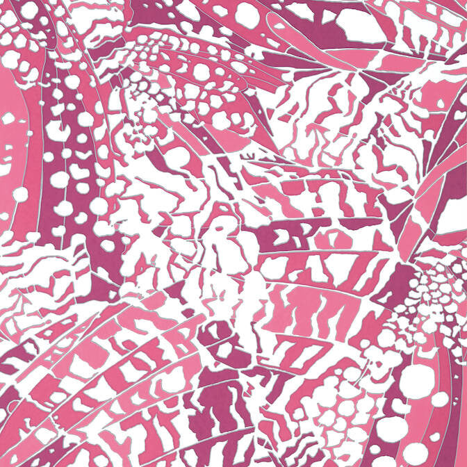 Puccini Fuchsia AT9861 by Anna French Wallpaper Anna French Wallpaper Puccini Fuchsia AT9861Wallpaper Nara Wallpaper UNITED STATES </p><p>Repeat: V: 36 27 - Fabric Carolina -