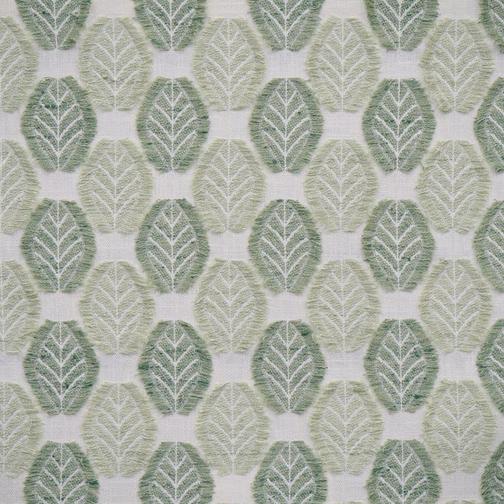 Arborio # 351 Celadon by Maxwell Designer Fabric Color Theory-Vol.Viii Rosemary 57% POLYESTER
43% COTTON INDIA V-3.8" H-3.4" 55" - Swanky Fabrics -