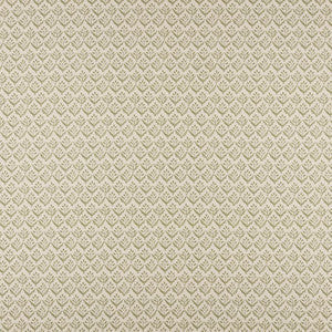Maxwell Fabric Aster # 503 Sage
