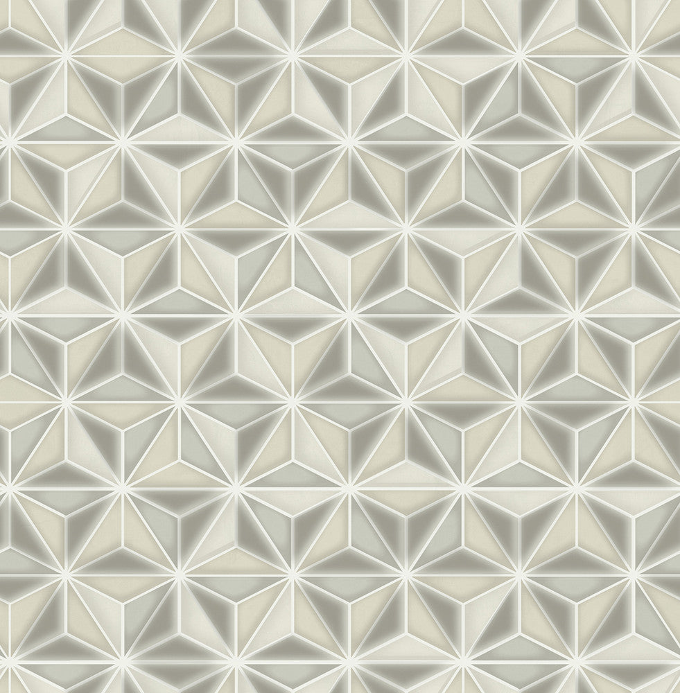 Einstein Geometric Metallic Gold and Metallic Silver AV51408 by Seabrook Designs Designer Wallpaper