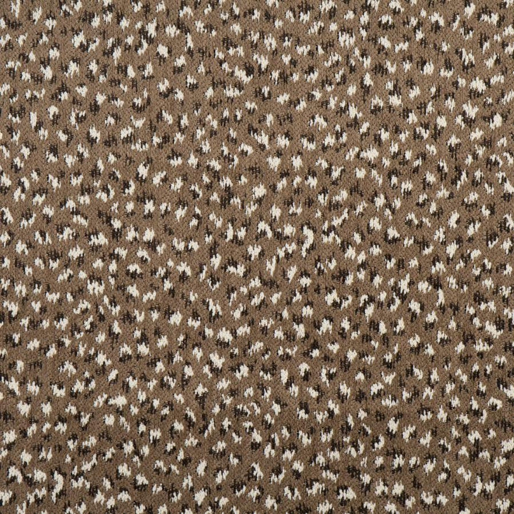 Ainslie # 724 Pebble by Maxwell Designer Fabric Performance Wovens-Vol. Viii Quarry 84% POLYESTER
16% COTTON USA V-13.9" H-14" 55" - Swanky Fabrics -