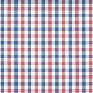 Anna French Fabric Saybrook Check Blue and Red AW15153
