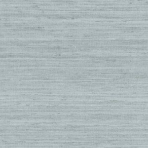 Thibaut Fabric Pradesh Blue Slate AW16114