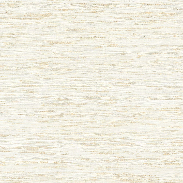 Pradesh Beige AW16116 by Thibaut Fabric Thibaut Fabric Pradesh Beige AW16116Fabric SOLEIL TEXTURES U.S.A </p><p>Repeat: H: , V: (0.00 cm) 54 in  (137.16 cm) - Fabric Carolina -