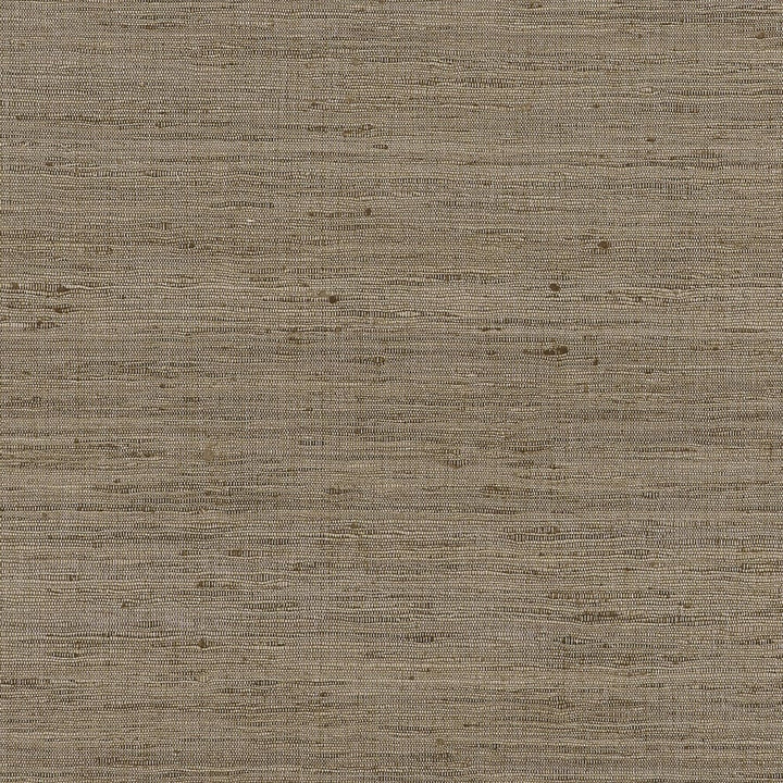 Pradesh Natural AW16117 by Thibaut Fabric Thibaut Fabric Pradesh Natural AW16117Fabric SOLEIL TEXTURES U.S.A </p><p>Repeat: H: , V: (0.00 cm) 54 in  (137.16 cm) - Fabric Carolina -