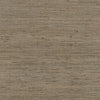 Thibaut Fabric Pradesh Natural AW16117