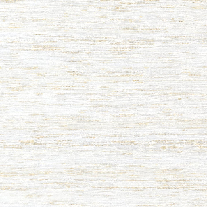 Pradesh White AW16118 by Thibaut Fabric Thibaut Fabric Pradesh White AW16118Fabric SOLEIL TEXTURES U.S.A </p><p>Repeat: H: , V: (0.00 cm) 54 in  (137.16 cm) - Fabric Carolina -
