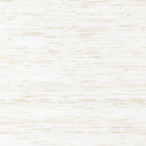 Thibaut Fabric Pradesh White AW16118