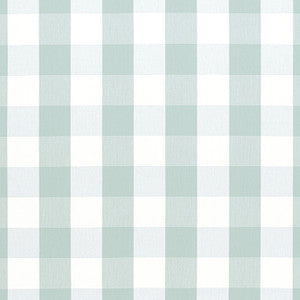 Anna French Fabric Hammond Check Robin's Egg AW24503