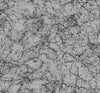 Seabrook Designs Wallpaper Paint Splatter Silver Glitter and Ebony AW71421