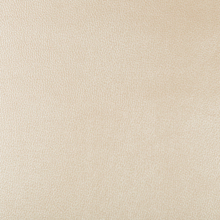 Azeri-116 by Kravet Design Designer Fabric POLYURETHANE - 62%;POLYESTER - 38% China HEAVY Horizontal: and Vertical: 54 - Swanky Fabrics -