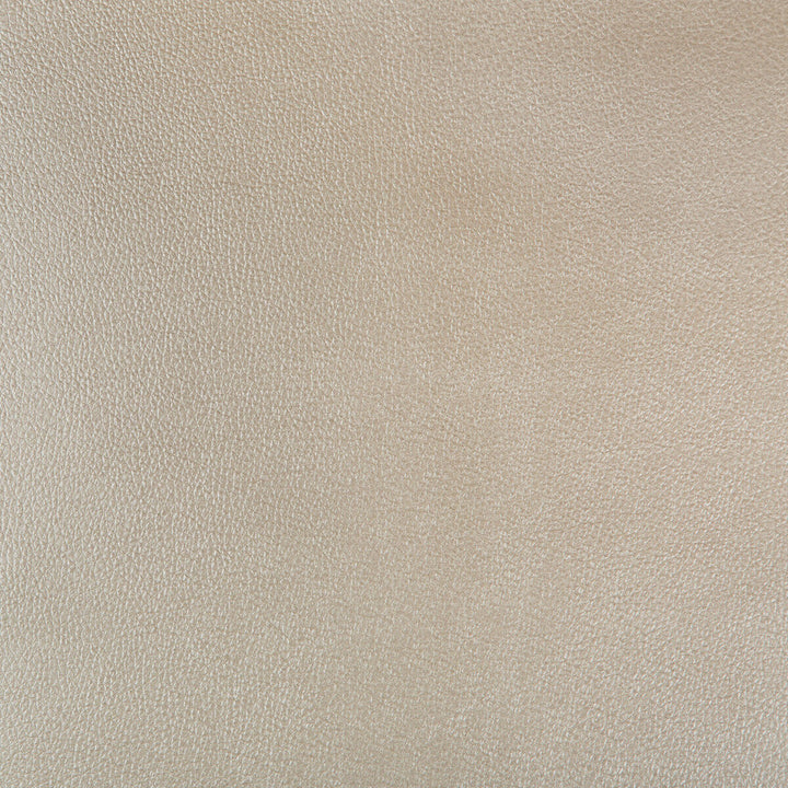 Azeri-16 by Kravet Design Designer Fabric - POLYURETHANE - 62%;POLYESTER - 38% China HEAVY Horizontal: - and Vertical: - 54 - Swanky Fabrics -