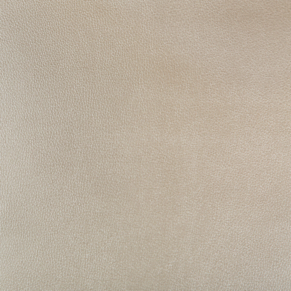 Azeri-16 by Kravet Design Designer Fabric POLYURETHANE - 62%;POLYESTER - 38% China HEAVY Horizontal: and Vertical: 54 - Swanky Fabrics -